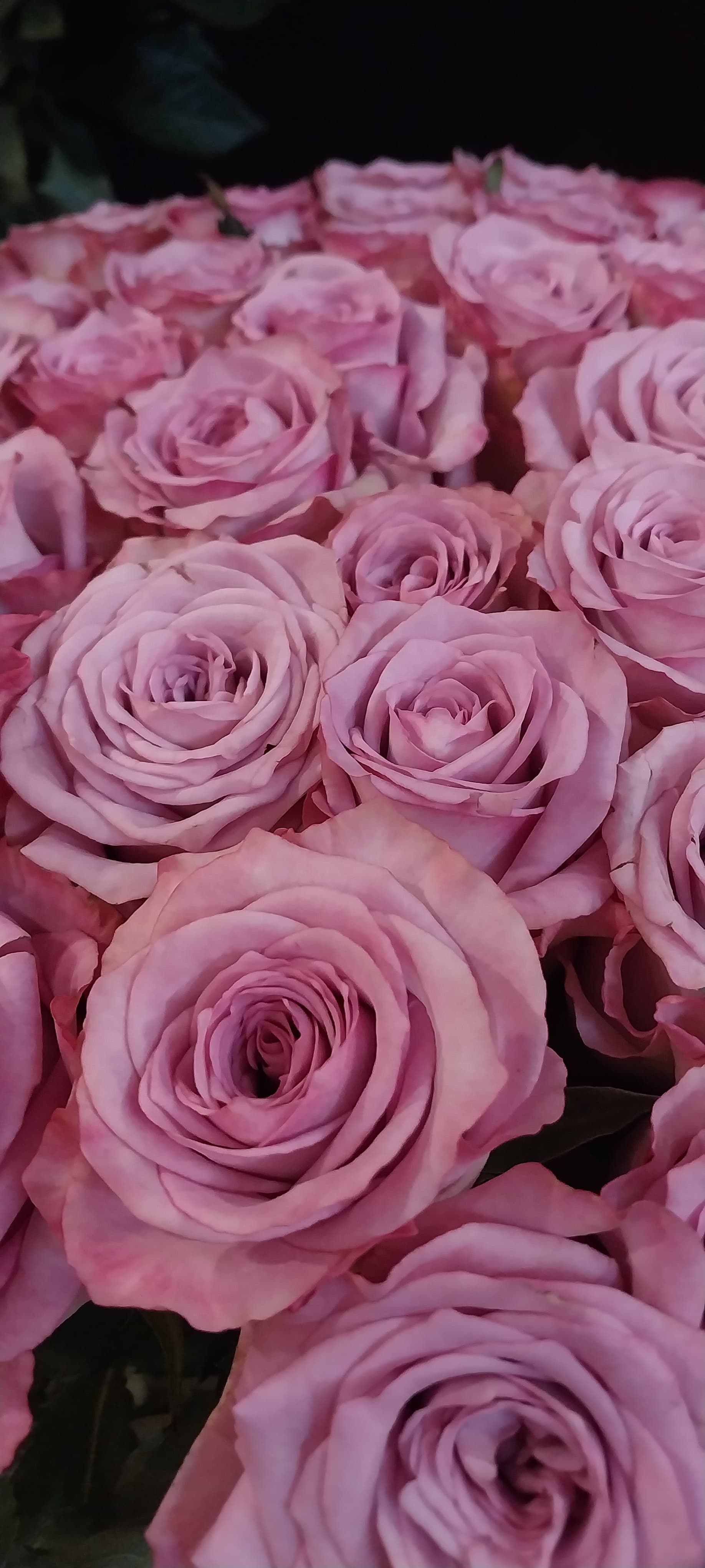 Flower gallery image 5