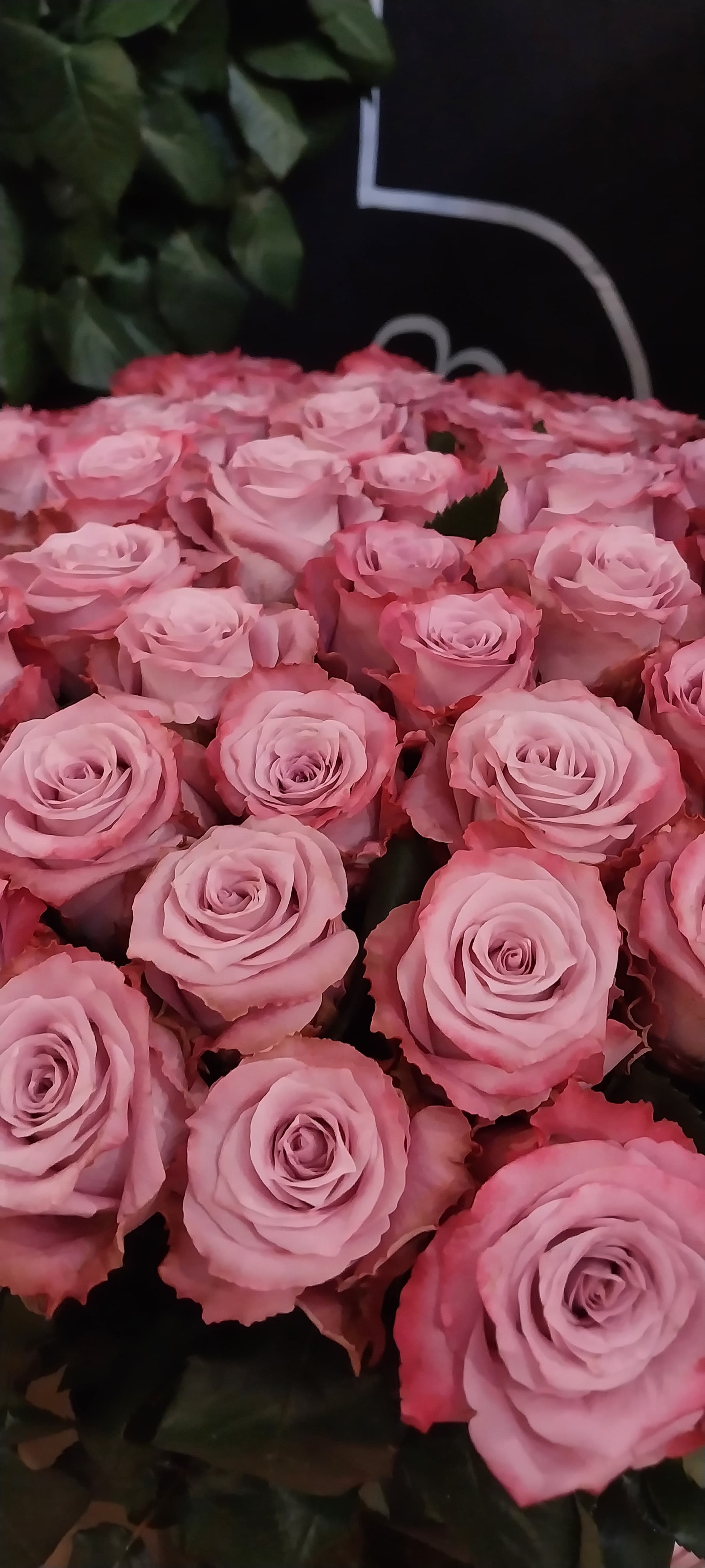 Flower gallery image 13